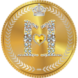 1lev1 logo