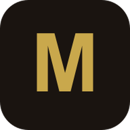 AI Self Audit MCP logo