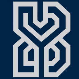 B4n1Web logo