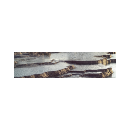 Crossref logo