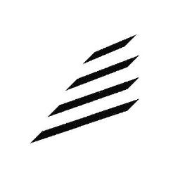 Fidelis Memory logo