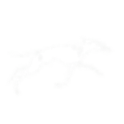 Neuron Search Lab MCP logo