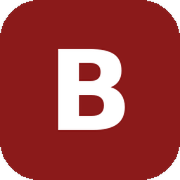 Bigapi MCP logo