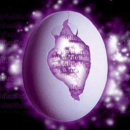 MCP Tomticket logo