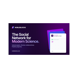 Nobleblocks MCP logo