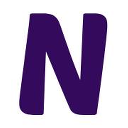 Nslookup logo