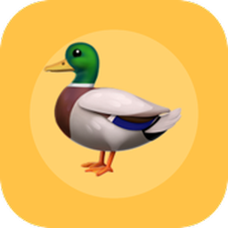 PrintYourDuck Quote logo