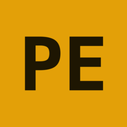 Puntersedge logo
