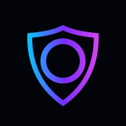 Q Ring logo