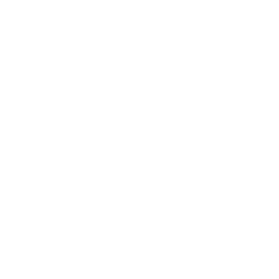 Rollin MCP Server logo