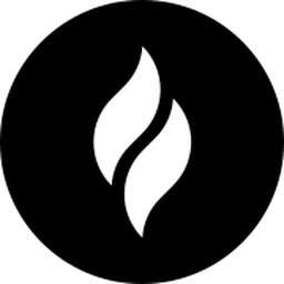 Spicy API logo