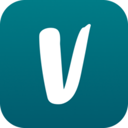Vinted MCP logo